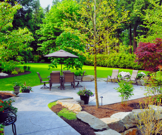 🌿 Get Your Patio Spring-Ready