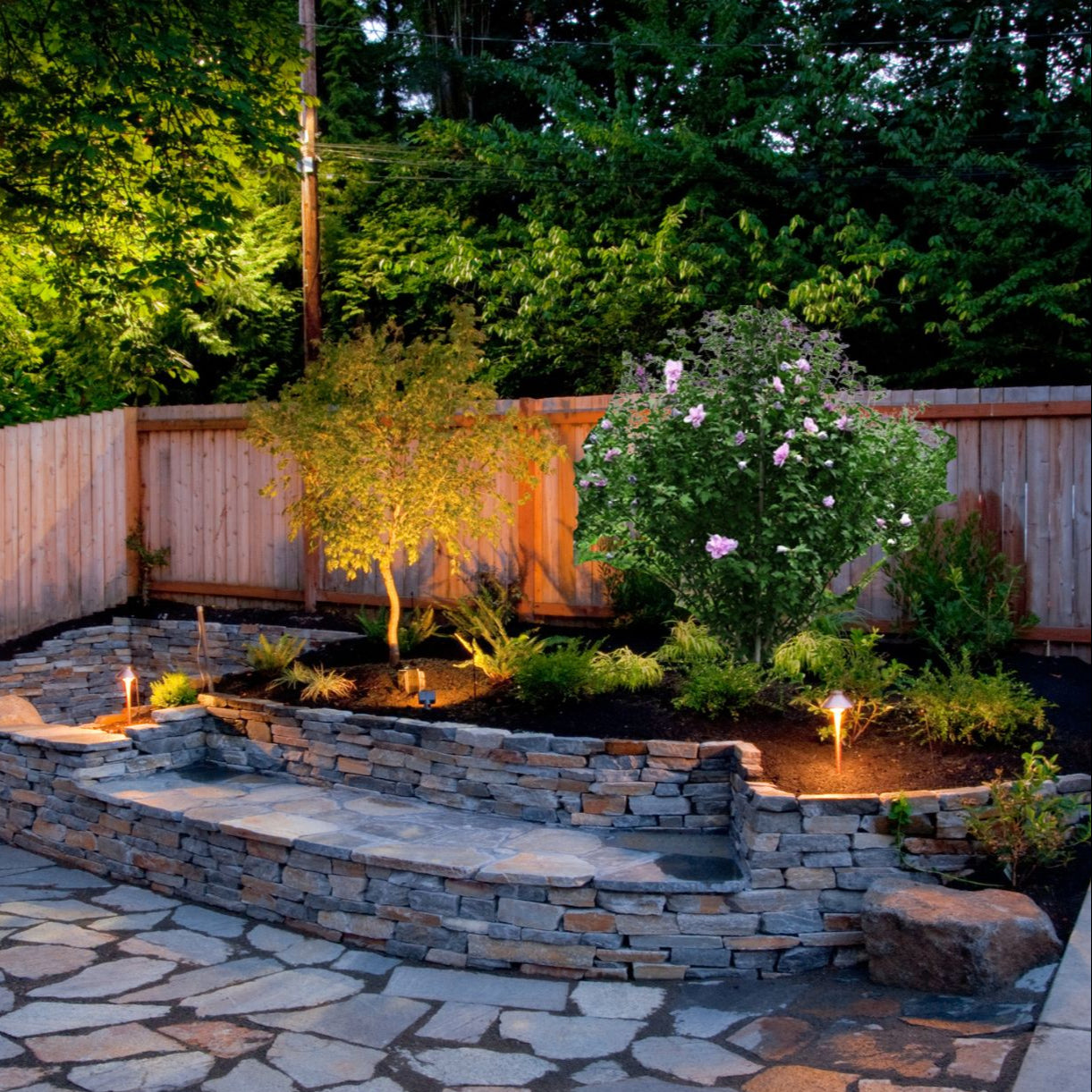 Chateau d'Amboise - Árbol de hibisco