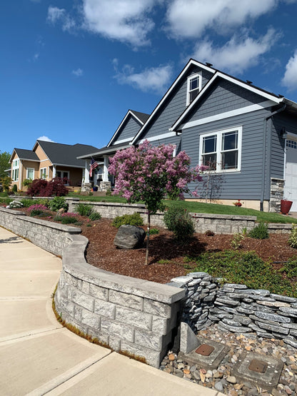 Bloomerang® Dark Purple - Lilac Tree